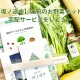 【坂ノ途中】の旬のお野菜セットの宅配サービスをレビュー【徹底解説】
