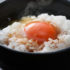 最高に旨い卵かけご飯の作り方・レシピ｜【プロが教える】失敗しない黄金比率と究極のアレンジ術
