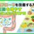 腸内フローラを改善する方法｜善玉菌を増やす食品ランキングTOP15