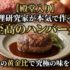 【殿堂入り】料理研究家が本気で作った「至高のハンバーグ」レシピ肉汁の黄金比で究極の味を実現