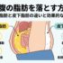 お腹の脂肪を落とす方法｜内臓脂肪と皮下脂肪の違いと効果的な対策