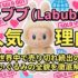 ラブブ（Labubu）人気の理由｜世界中で売り切れ続出のぬいぐるみの全貌を徹底解説