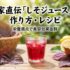 農家直伝「しそジュース」の作り方・レシピ｜栄養満点で美容効果抜群