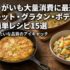 じゃがいも大量消費に最適！ガレット・グラタン・ポテサラの簡単レシピ15選【保存版】