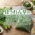 ほうれん草の冷凍保存方法と活用レシピ15選｜栄養を逃さないコツ