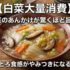 【白菜大量消費】白菜のあんかけが驚くほど旨い！とろとろ食感がやみつきになる一品